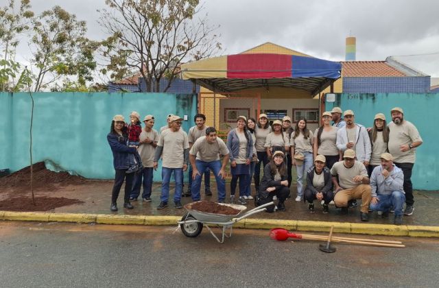 Tree planting in Brazil