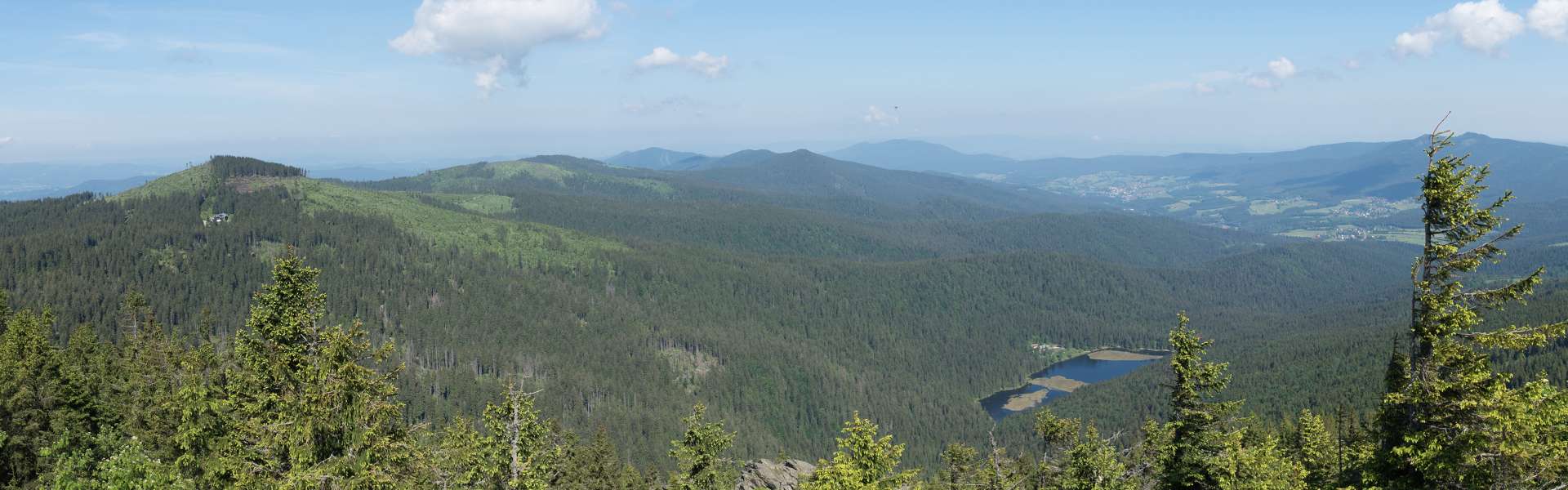 adobestock_207633605.jpeg
